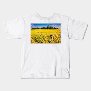 Summer Wheat Field 3 Kids T-Shirt